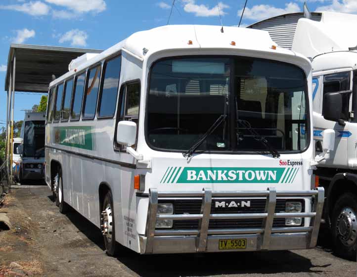 Bankstown MAN 22.280 Austral Tourmaster TV5503